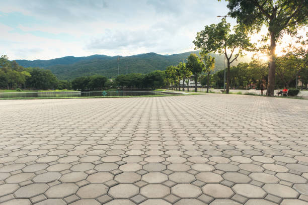 Best Residential Paver Driveway  in Captain Cook, HI